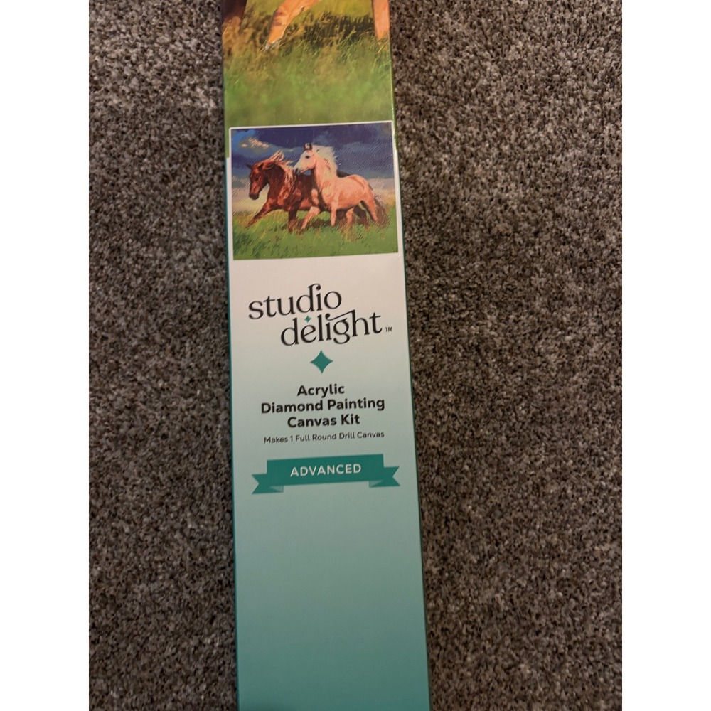 Studio Delight Diamond Painting Kit Unisex 20x26 Multi Color Running Horses Art